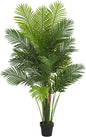 6’ Hawaii Palm Tree Artificial Plant, 6.5" D x14 W x6 Ft, Green
