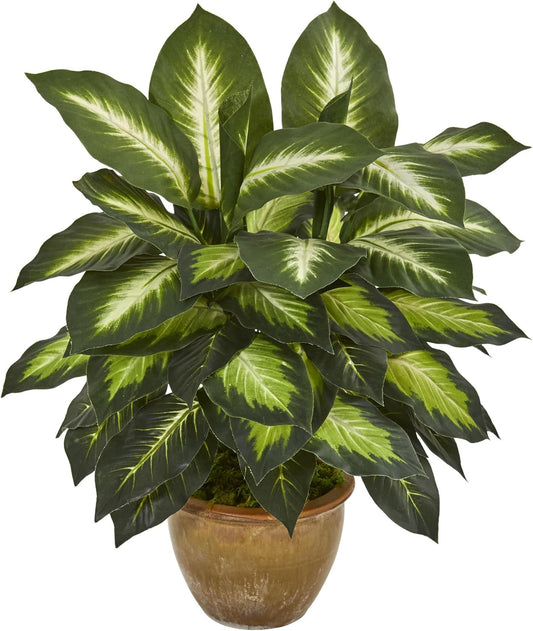 Dieffenbachia Artificial Plant in Ceramic Planter