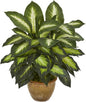 Dieffenbachia Artificial Plant in Ceramic Planter