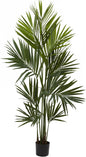 7ft. Kentia Palm Silk Tree