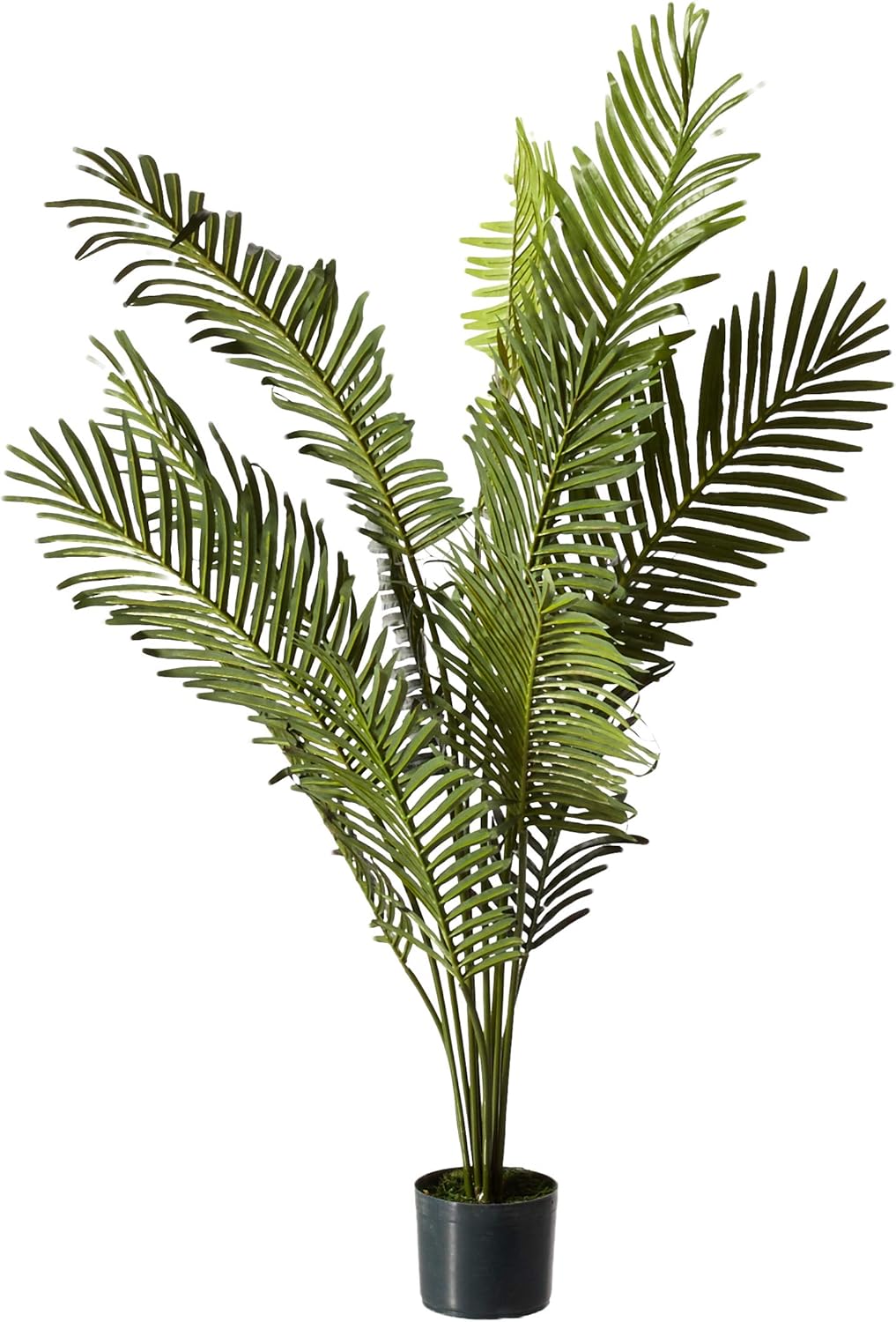 5FT Tall Artificial Paradise Palm Plant, Fake Palm Tree with 12 Trunks and Realistic Palm Leaves, Faux palm Tree for Indoor Home Décor