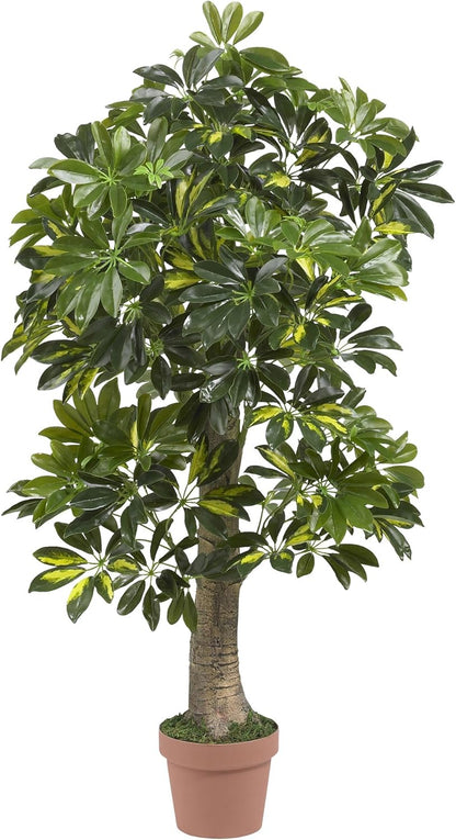 4ft. Schefflera (Real Touch) Silk Tree, Green