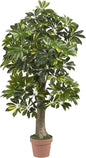 4ft. Schefflera (Real Touch) Silk Tree, Green