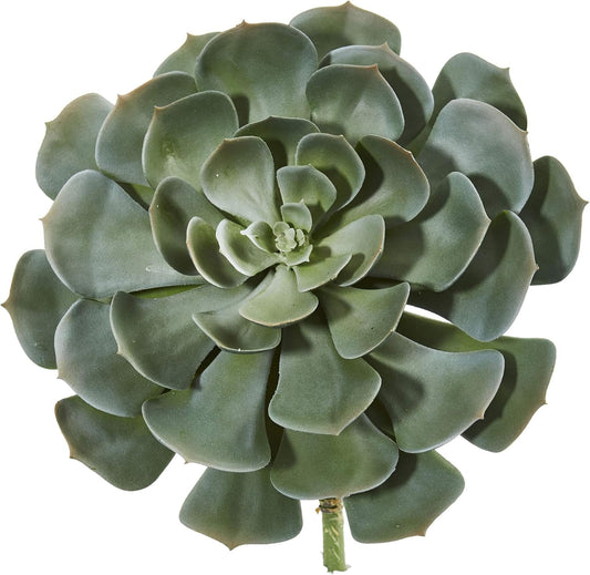 13in. Giant Echeveria Succulent Pick Artificial Plant (Set of 2)