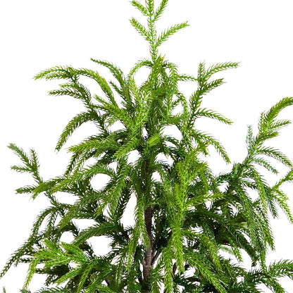 4ft. Artificial Norfolk Pine Tree