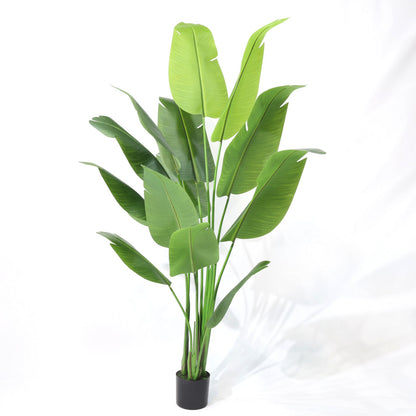 210cm Tropical Detachable Travelers Palm Classic Artificial Plant
