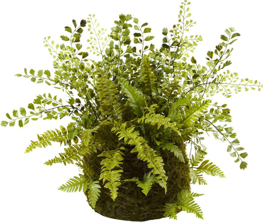 Mixed Fern with Twig and Moss Basket