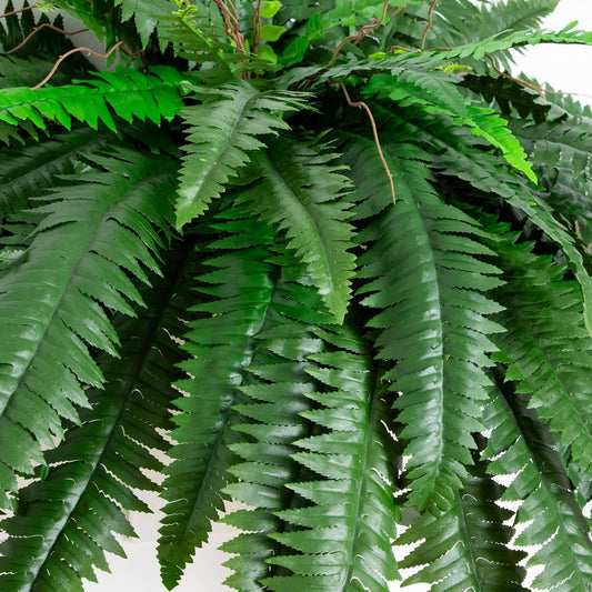 Nearly Natural 48-in Artificial Boston Fern, Set of 2, Large Hanging Fake Plant Wall Decor with 67 Fronds, Faux Fern Vines that Look Real for Home and