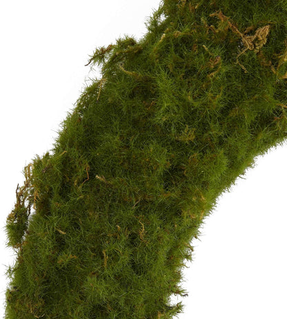 20in. Moss Artificial Wreath