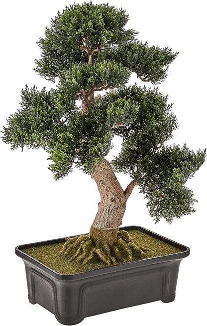 4103 24in. Cedar Bonsai Silk Plant,Green