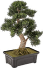 4103 24in. Cedar Bonsai Silk Plant,Green