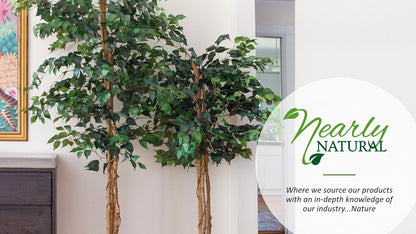 5.5ft. Croton Artificial Plant in Orange Planter (Real Touch)