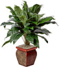 5ft. Cordyline Silk Plant (Real Touch) No50