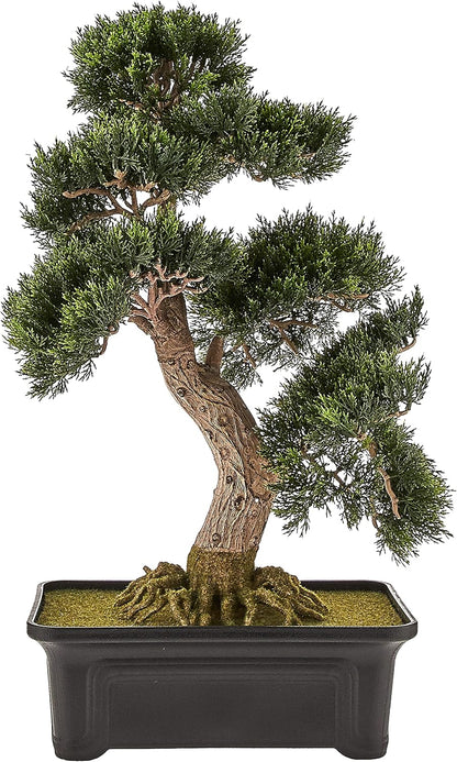 4103 24in. Cedar Bonsai Silk Plant,Green