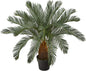 3ft. Cycas Artificial Tree