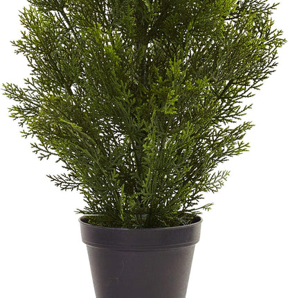 3ft. Mini Cedar Pine Tree (Indoor/Outdoor)