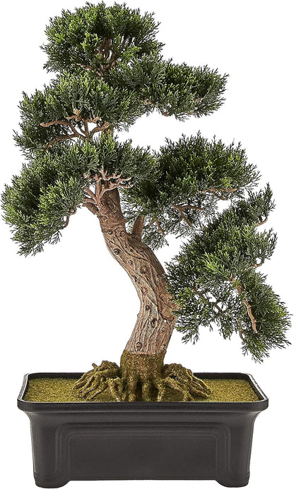 4103 24in. Cedar Bonsai Silk Plant,Green