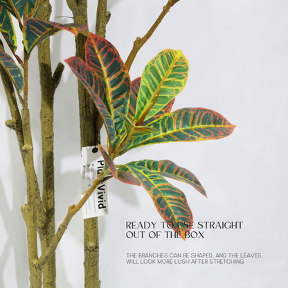 Ficus Pandurata (Croton) Artificiale 160cm con Foglie Variegate, Albero Finta in Vaso per Decorazione Casa e Negozio Natale