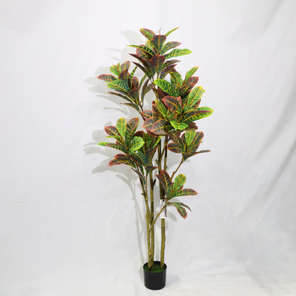 Ficus Pandurata (Croton) Artificiale 160cm con Foglie Variegate, Albero Finta in Vaso per Decorazione Casa e Negozio Natale