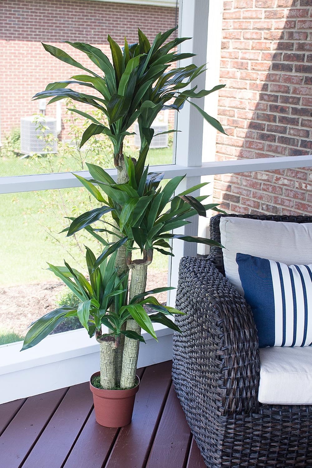 Nearly Natural 62IN Artificial Corn Stalk Dracaena Plant, Tall Fake Plant for Indoor Home Décor, Real Touch Faux Plant