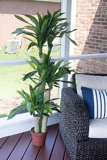 Nearly Natural 62IN Artificial Corn Stalk Dracaena Plant, Tall Fake Plant for Indoor Home Décor, Real Touch Faux Plant