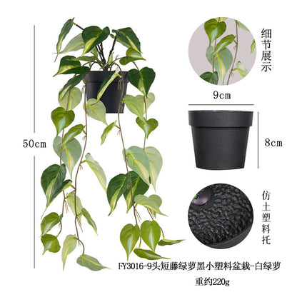 悬挂盆栽组合 家居橱柜盆栽垂条盆景室内装饰绿植仿真盆栽 No50