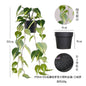 悬挂盆栽组合 家居橱柜盆栽垂条盆景室内装饰绿植仿真盆栽 No50