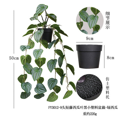 悬挂盆栽组合 家居橱柜盆栽垂条盆景室内装饰绿植仿真盆栽 No50