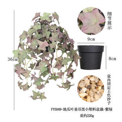 悬挂盆栽组合 家居橱柜盆栽垂条盆景室内装饰绿植仿真盆栽 No50