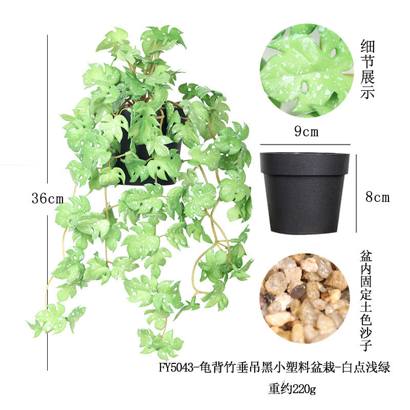悬挂盆栽组合 家居橱柜盆栽垂条盆景室内装饰绿植仿真盆栽 No50