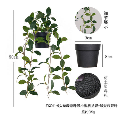 悬挂盆栽组合 家居橱柜盆栽垂条盆景室内装饰绿植仿真盆栽 No50