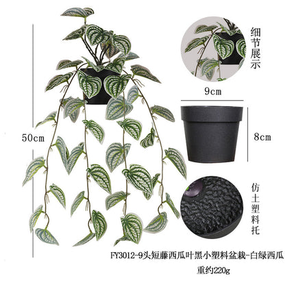 悬挂盆栽组合 家居橱柜盆栽垂条盆景室内装饰绿植仿真盆栽 No50