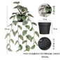 悬挂盆栽组合 家居橱柜盆栽垂条盆景室内装饰绿植仿真盆栽 No50