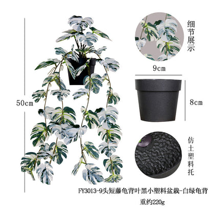 悬挂盆栽组合 家居橱柜盆栽垂条盆景室内装饰绿植仿真盆栽 No50