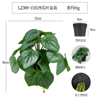 悬挂盆栽组合 家居橱柜盆栽垂条盆景室内装饰绿植仿真盆栽 No50