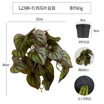 悬挂盆栽组合 家居橱柜盆栽垂条盆景室内装饰绿植仿真盆栽 No50