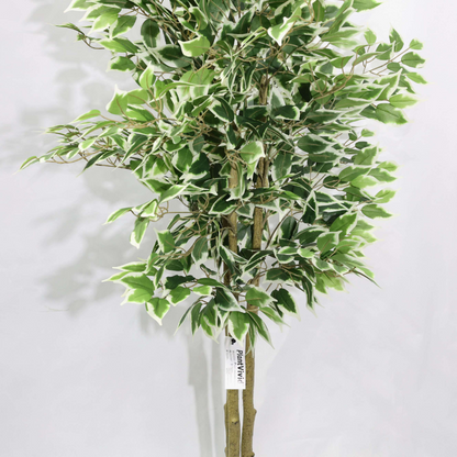 Ficus Banyan Artificiale Smontabile 170cm, Pianta Finta Moderna con Foglie Borde Bianco-Verde per Decorazione Casa Ufficio Natale