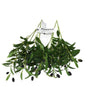 4 Pcs 45cm Artificial Olive Branches Bendable Stems UV-Resistant Faux Greenery