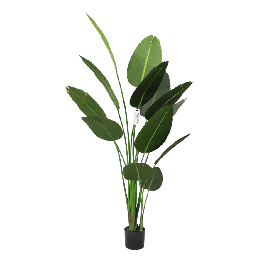Τεχνητή Strelitzia Reginae 180cm με μεγάλα σκούρα πράσινα φύλλα, αφαιρούμενο τροπικό ψεύτικο δέντρο  χριστουγεννιάτικες διακοσμήσεις καταστημάτων