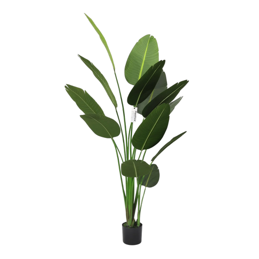 Τεχνητή Strelitzia Reginae 180cm με μεγάλα σκούρα πράσινα φύλλα, αφαιρούμενο τροπικό ψεύτικο δέντρο  χριστουγεννιάτικες διακοσμήσεις καταστημάτων