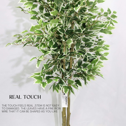 Ficus Banyan Artificiale Smontabile 170cm, Pianta Finta Moderna con Foglie Borde Bianco-Verde per Decorazione Casa Ufficio Natale