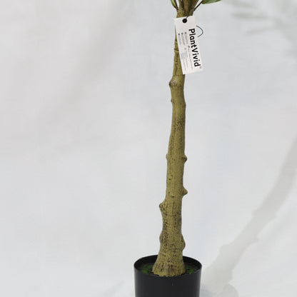 Olivo Artificiale Verde Smontabile 150cm, Pianta Finta in Plastica in Vaso per Decorazione Moderna Casa Ufficio Natale