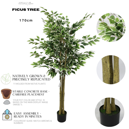 Αφαιρούμενος Τεχνητός Φίκος Μπανιάν 170cm, Μοντέρνο Ψεύτικο Φυτό με Λευκές-Πράσινες Άκρες