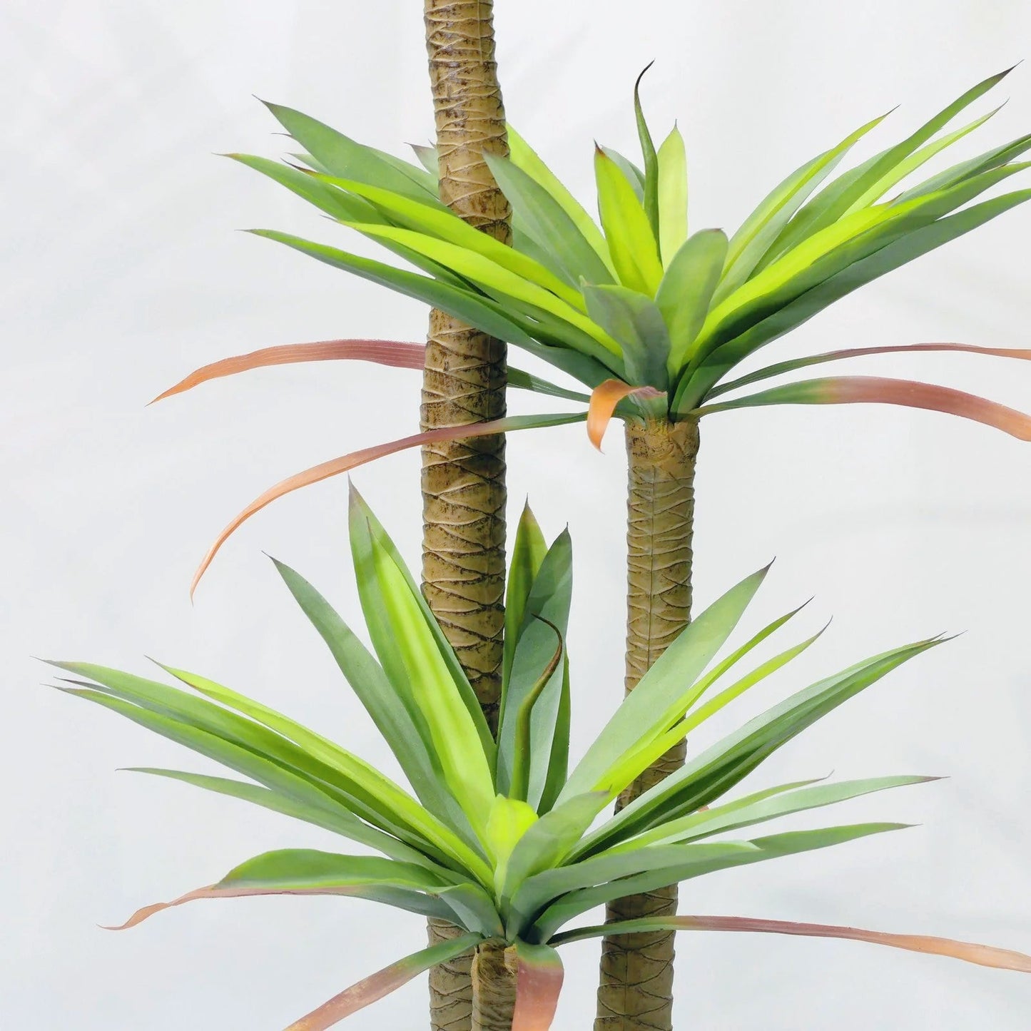 Pianta di Drago Artificiale (Corn Plant) 180cm con 3 Tronchi, Pianta Finta Tropicale in Vaso per Decorazione Ufficio e Casa Natale