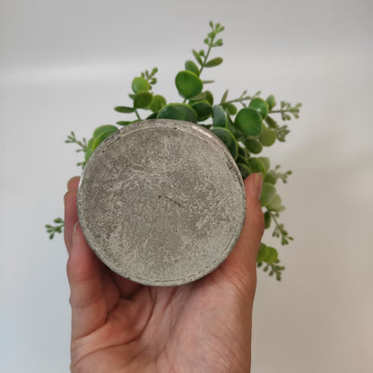 20cm Artificial Eucalyptus Potted Plant | Eco-Friendly Pulp Pot | Nordic/Ins Style Home Decor | Faux Greenery
