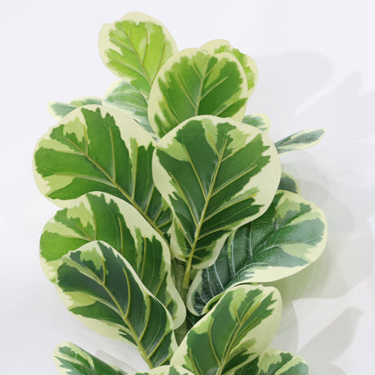 76cm Artificial Fiddle Leaf Fig White-Edged Lifelike Leaves Faux Plant