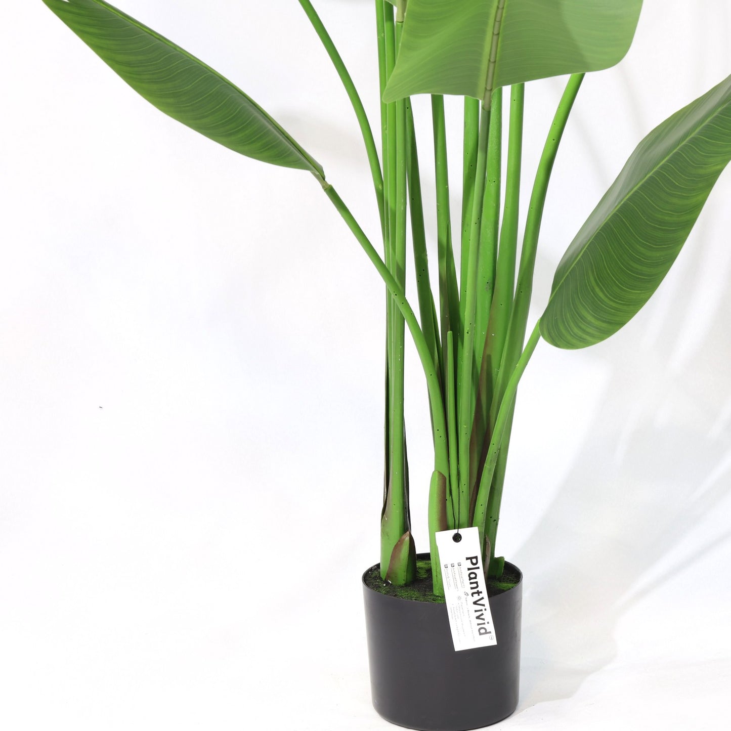 210cm Tropical Detachable Travelers Palm Classic Artificial Plant
