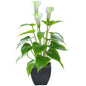 Elegant Calla Lily | 32cm Artificial Potted Plant